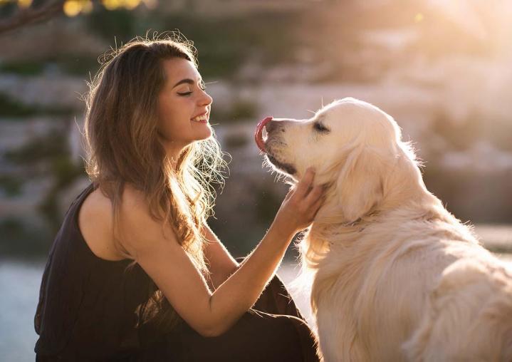 Comportementaliste canin Brindas